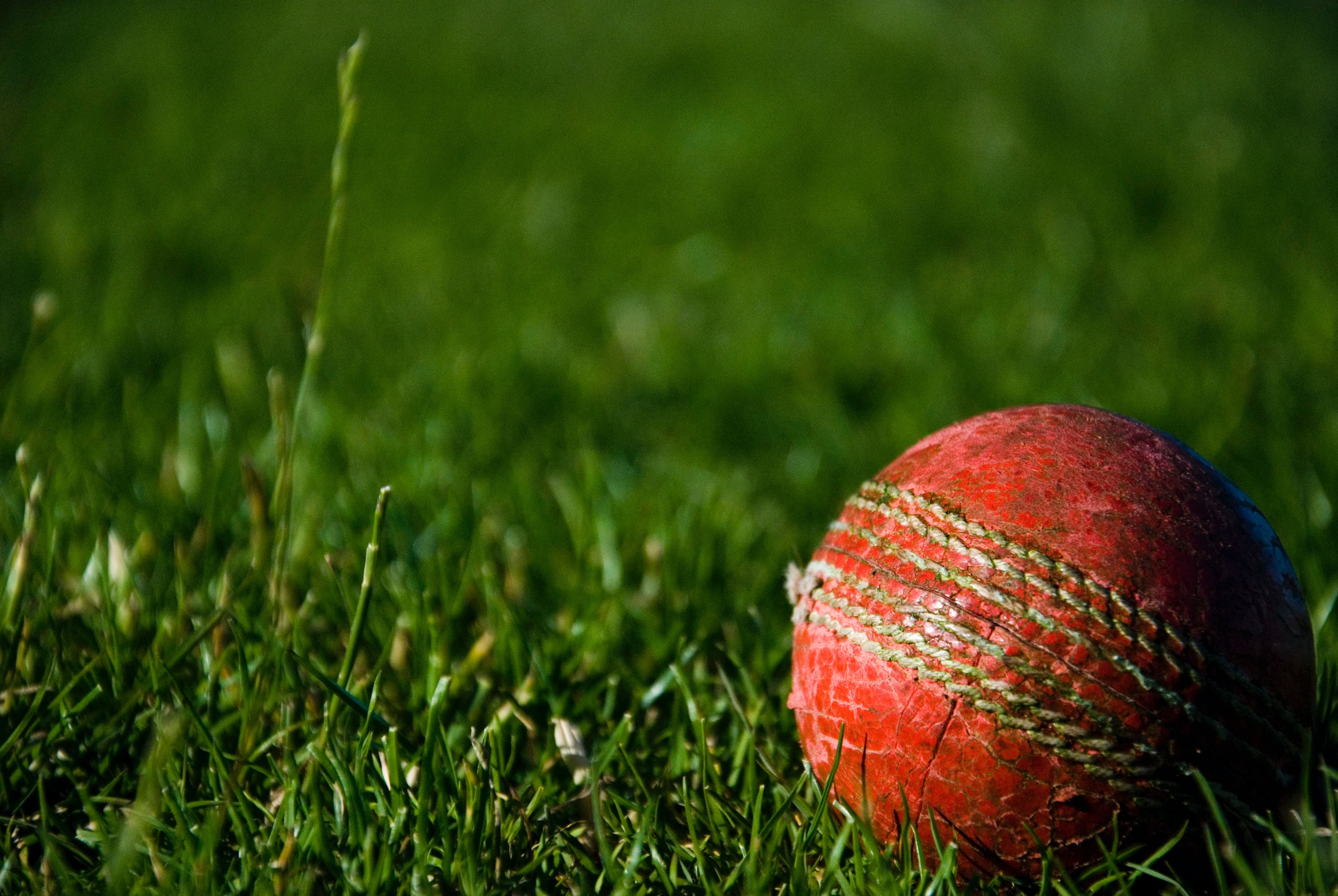 Experience the Unparalleled Excitement and Achieve Victory
with Our Premium Cricket Equipment